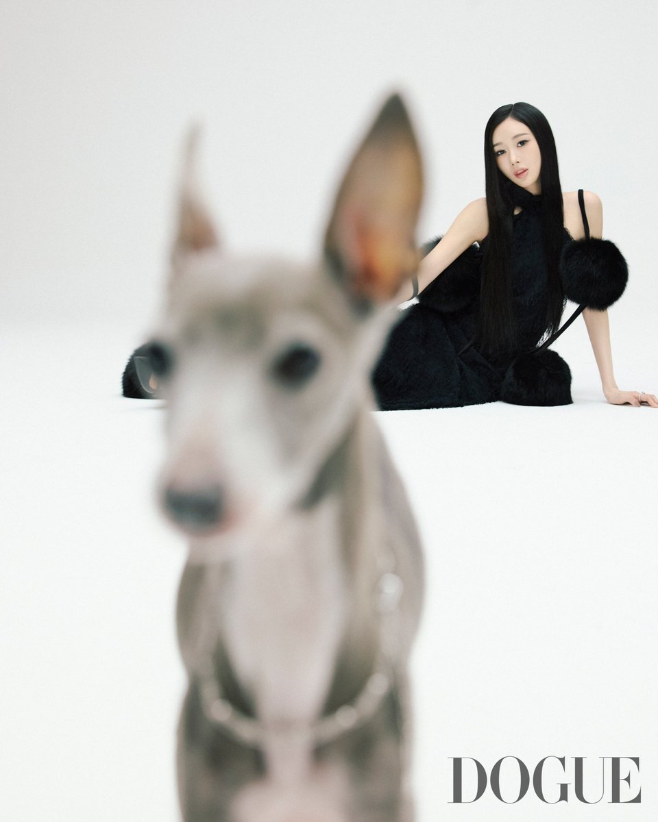 woonuh's tweet photo. Cooper王子又去拍雜誌 這次還單獨封面😍

「Cooper很喜歡女生，不知道是不是因為這樣，牠也都很喜歡成員們。和爸媽一起住的時候，牠對爸爸完全沒興趣，一心只有媽媽。」

「儘管是穩定型狗狗Cooper，每天早上也是以抓GISELLE的房門來開啟新的一天。在強烈的早餐訴求下，GISELLE連睡懶覺都不可能。」 https://t.co/CHrENMXDVE