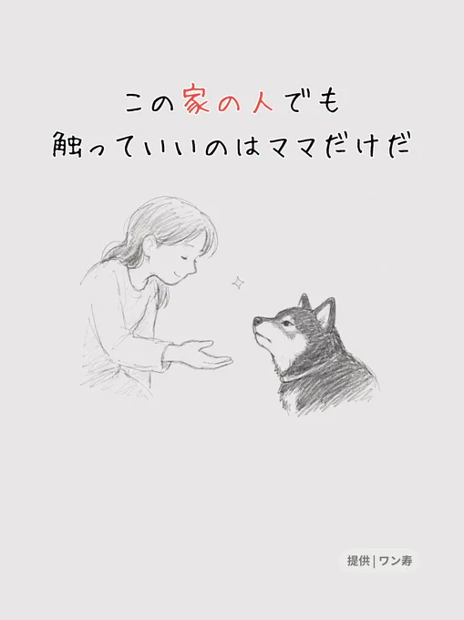 わんわん物語@ワン寿 on X: 