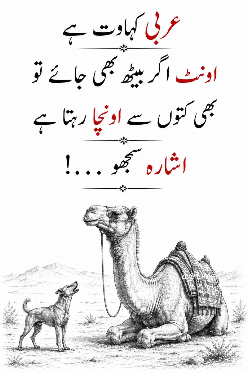 Dua_A__'s tweet photo. اشاروں کی زباں https://t.co/U9gMdOASD1