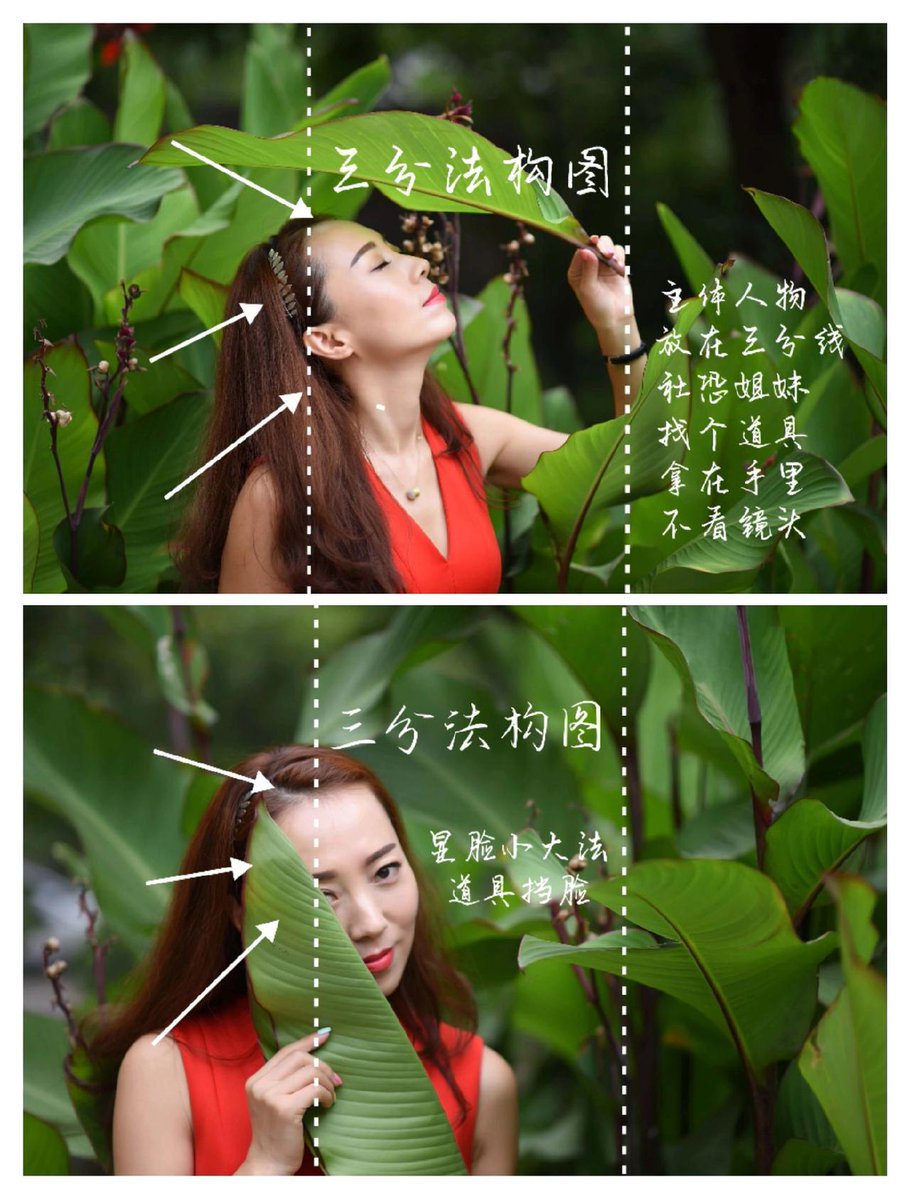 HungWunci's tweet photo. New to photography Start with the rule of thirds! Place your subject at grid lines to make shots more balanced and eye-catching. No fancy gear needed – just your phone will work. https://t.co/01ycSjIFi6