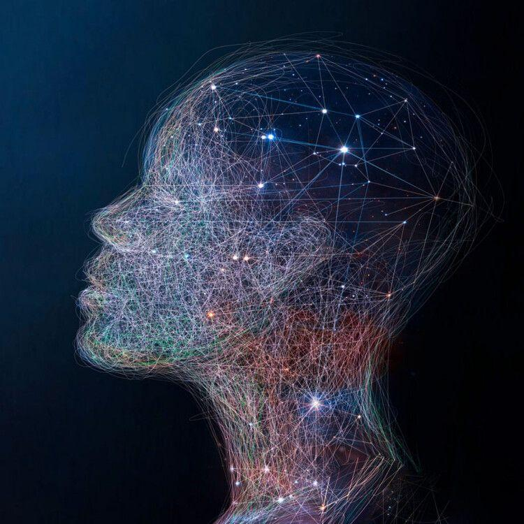 latestincosmos's tweet photo. 🚨: Consciousness can jump through time; research reveals that your gut feelings are memories from the future. https://t.co/USAWuYJwr7