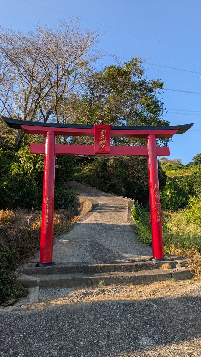 mmizuy's tweet photo. 昨年、宮大工の井本建築さんにきれいに塗り直していただいた大鳥居。
「奉寄進　信者一同　昭和40年三月吉日」と刻まれています。

令和8年熊本地震で亀裂が入り、先日確認したところ、地震後に撮った3枚目の写真よりも大きくなっていました。
余震が続く中、今後の状態も記録しておきたいと思います。 https://t.co/L8XchizvUc