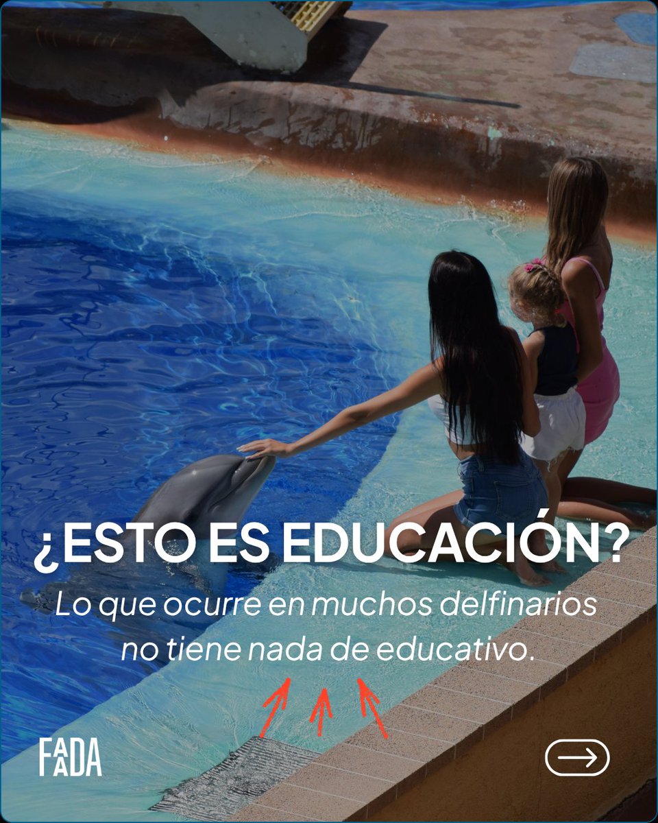 FAADAorg's tweet photo. 🚨🐬Ni conservación, ni educación.

📢Entre mediados de 2023 y mediados de 2025, desde FAADA realizamos una investigación encubierta en todos los delfinarios de España. Lo que encontramos fue una realidad desoladora: espectáculos sin valor educativo, contacto obligado con humanos y graves carencias en bienestar animal.

Lejos de ser centros de conservación o educación, los delfinarios funcionan como negocios de entretenimiento que vulneran sistemáticamente la dignidad y las necesidades de los cetáceos.

✍️ Firma la petición #TrasElCristal y ayúdanos a exigir el cierre progresivo de los delfinarios y el fin de la cautividad de los cetáceos en España: https://t.co/lwvNyLjmJw.

Gracias a la activista @oliviamandle por su apoyo a la campaña y por su compromiso con los derechos de los animales.