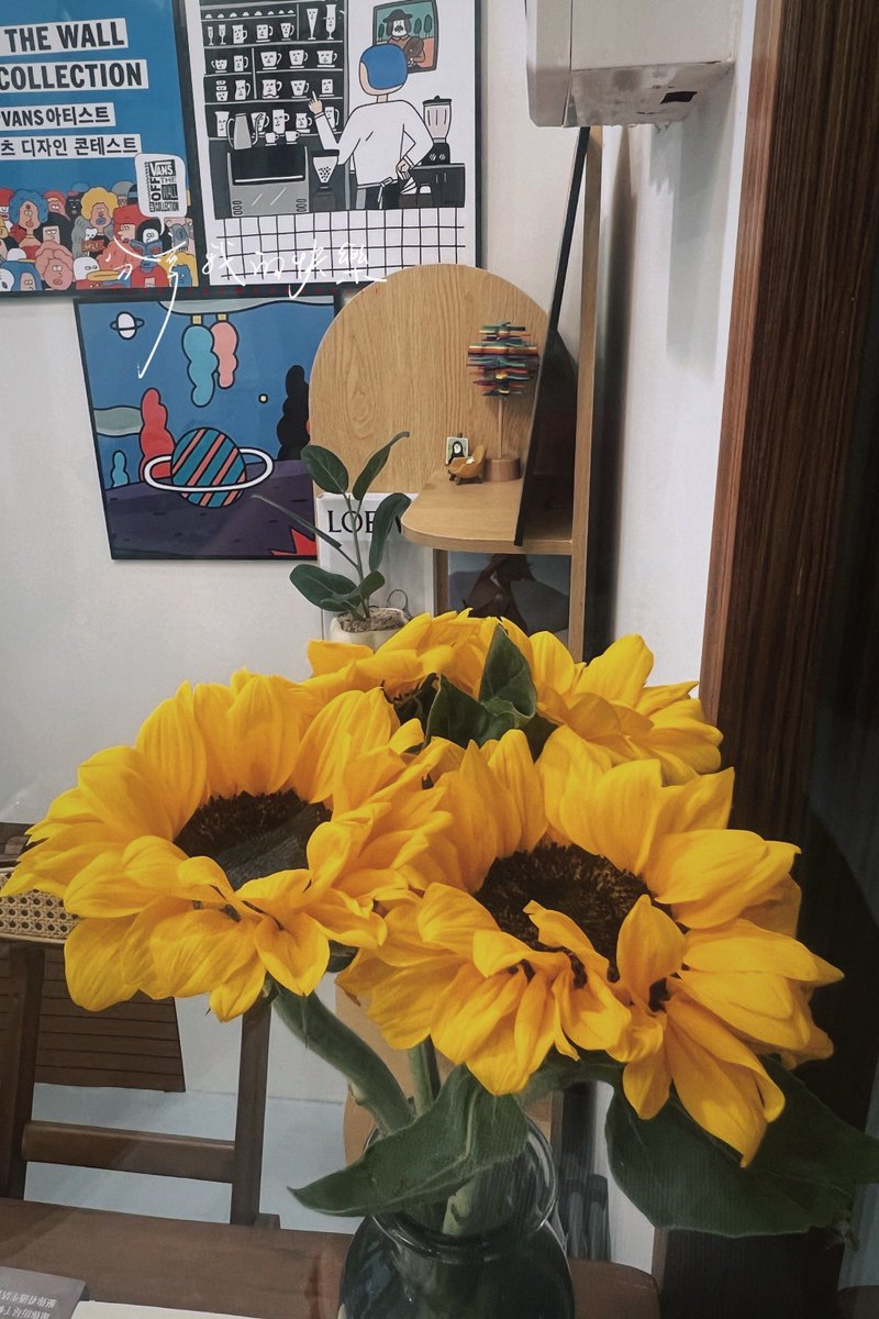sil56933's tweet photo. My office plant finally bloomed—turns out it’s a sunflower, not the succulent I picked 6 months ago. My teammate brought donuts to celebrate. https://t.co/5QMrZ2hUmO