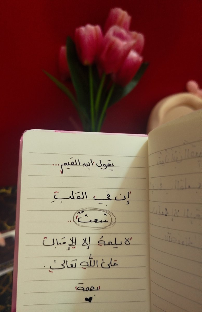 RahwanYasser's tweet photo. هذااا الكتاب أنصح به الجميع ❤️‍🩹
فعلاً ليس كتاب بل دواء وشفاء لكل من كابدته الحياة والمعاصي ...

علقوا عنه بكلمة  !!! https://t.co/ruWaLikhze