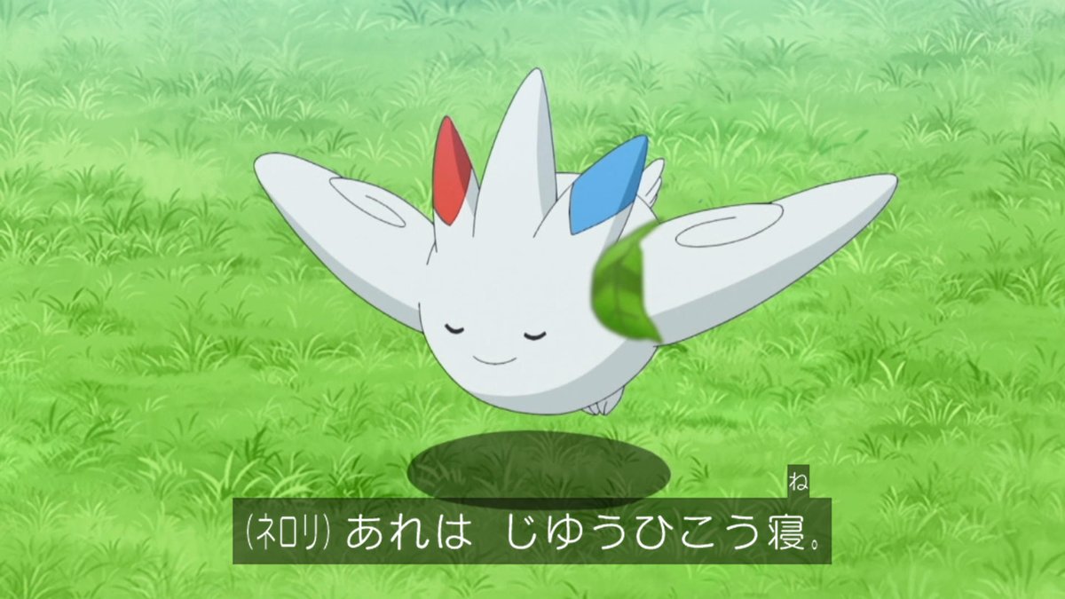 ポケットモンスター(2023) 第146話 ツイート画像 1