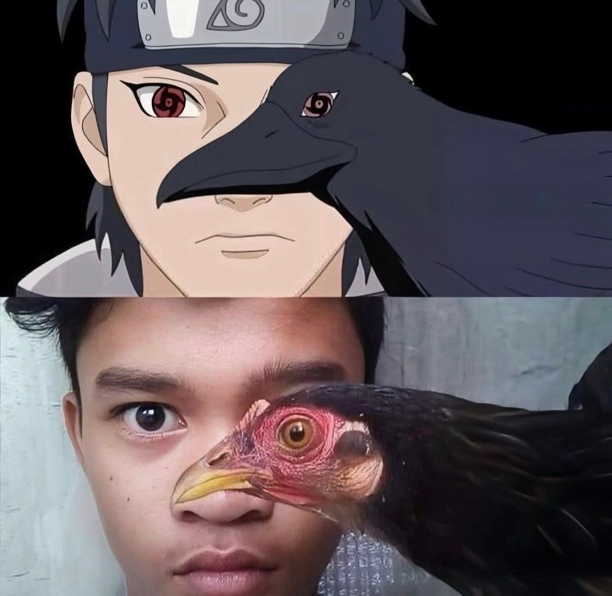 AnimeePost's tweet photo. Same energy https://t.co/cDdJzAjbIm