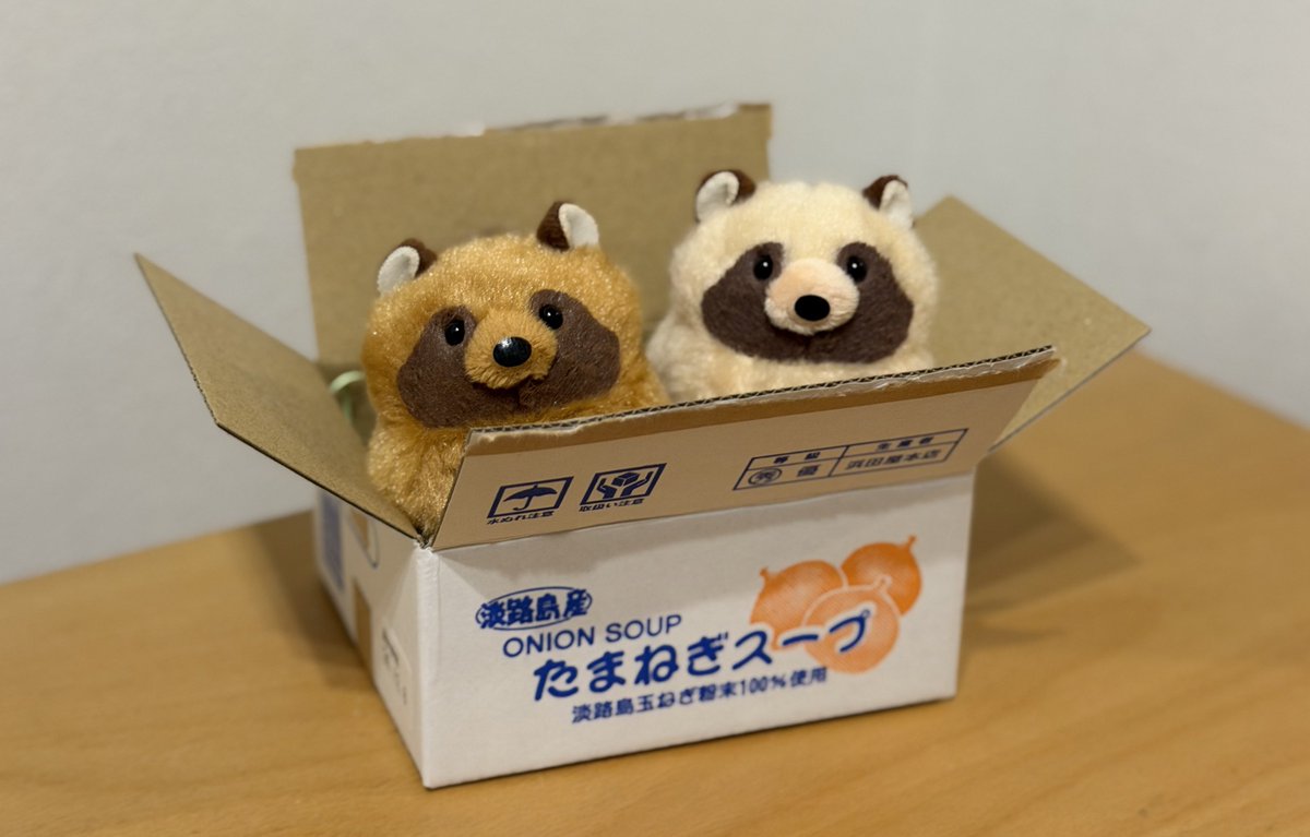 tnstwv's tweet photo. 何も知らずに連れて来られて何が何だかって顔だなァ❗️これからお前たちはこの家で幸せに暮らすんだよッ‼️ イーヒッヒッヒ❗️
#たぬぽんぽん https://t.co/lE5V5tgB2C