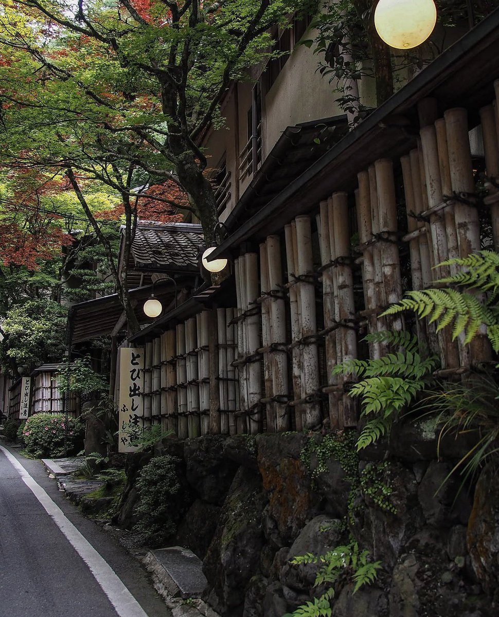 naturebeauty760's tweet photo. Kyoto, Japan 🇯🇵 https://t.co/DF46xbFB22
