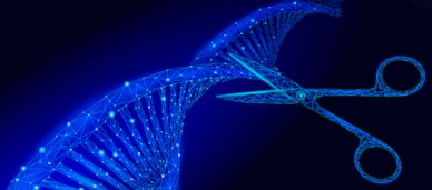 lifeasible's tweet photo. Plant Genetic Transformation
We provide both transient and genetically stable transformation services in a wide range of plant species, including model plants, major food crops, economic plants, and new-era bio-energy feedstock plants.
https://t.co/AKLnD65w2h https://t.co/H1LO52Jw5C