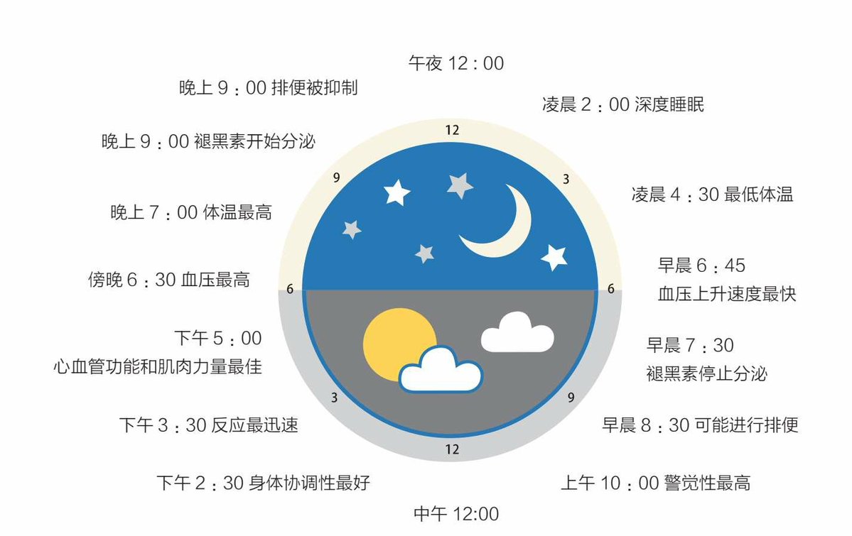zBelCXYHhKlydWM's tweet photo. Ajusta tu horario para dormir 7 horas diarias: te sentirás más enérgico y concentrado todos los días. No te quedes despierto hasta tarde, tu cuerpo te lo agradecerá. https://t.co/Ie73OHkbg8