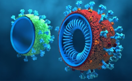 lifeasible's tweet photo. Virus-like Particles Production in Plants
Lifeasible provides an all-around VLP service package from initial construct design, expression, purification, and characterization. 
https://t.co/45uvcJGDg7 https://t.co/997DbpP25d