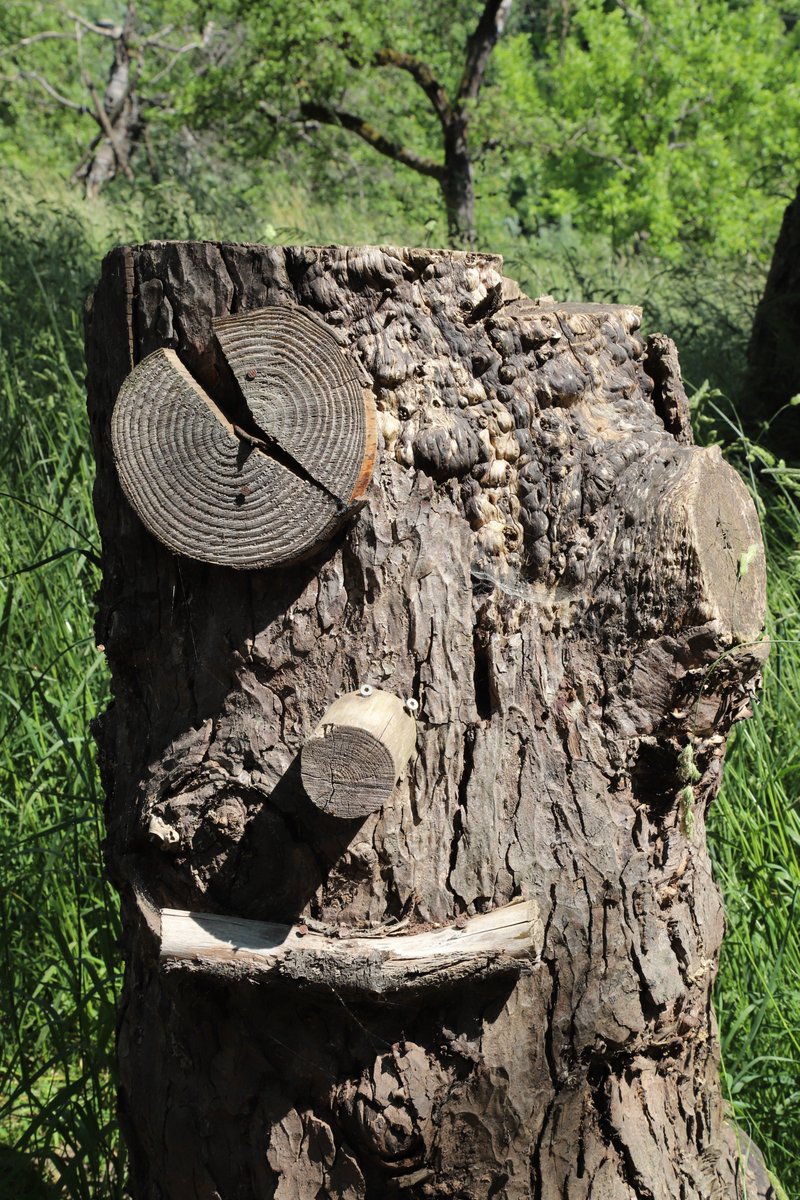 fnks35's tweet photo. De fotochallenge #beau_gustus  van @dthta57 had op dag19 het thema: #Iseefaces https://t.co/tjZMoRxVls