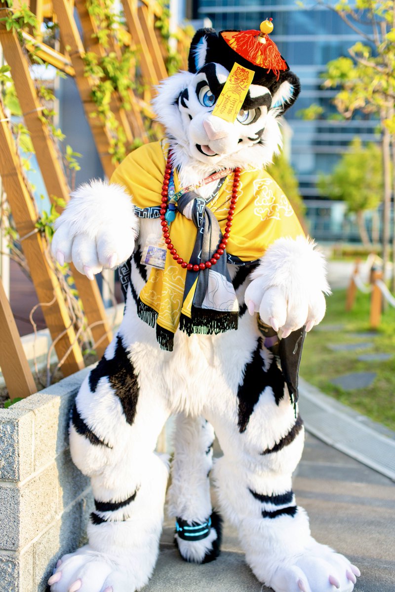 WhiteTigerTW's tweet photo. 🧟‍♂️🐯
📸：@wolfroof
🪡：@BK_fursuit 
#FursuitFriday https://t.co/mRo9oPhRGG