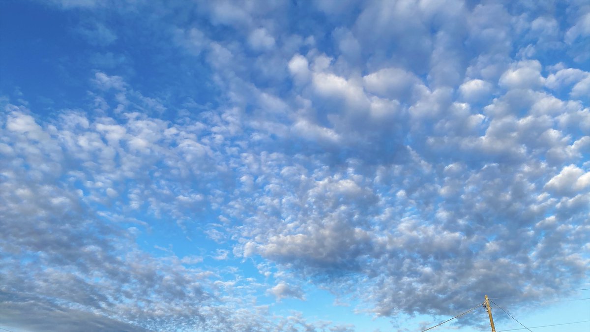 missa_71's tweet photo. 今日の北海道の空がとても綺麗で☁️✨
華金だしめっちゃ幸せな気分になった💖

すごーく秋っぽくてもう夏も終わりかぁ💦
と思ったら明日の最高気温30℃とか🫠 https://t.co/hWUFcyc1Fm