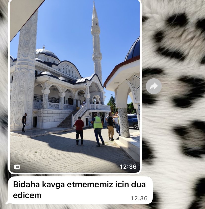 blondishmm's tweet photo. egitimi uzun sürdü https://t.co/OGbRMHNodx