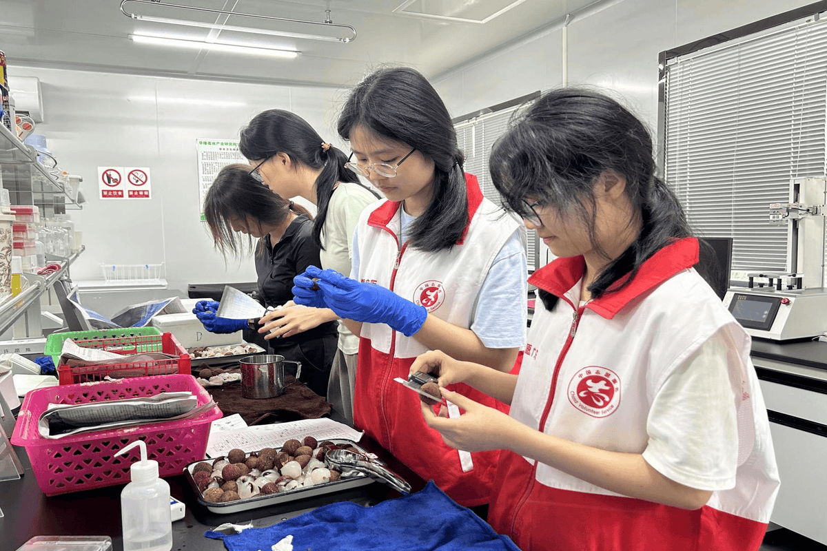 gevor_gevor789's tweet photo. Spent the morning with local students, helping them prepare for the summer science fair—watching their excitement when they finished their first robot prototype Pure joy. Volunteering is the best reminder of small, meaningful impacts. #CommunityVolunteer https://t.co/YZtULr0uVu