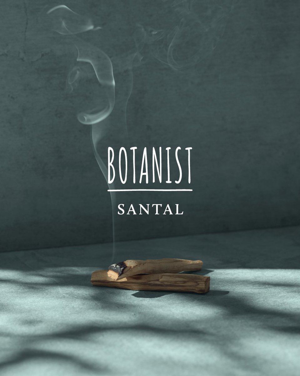 BOTANIST_01's tweet photo. 先行発売中🌱

BOTANIST SANTAL(サンタル)
ボディーソープ・ボディーミルク

パロサント＆サンダルウッドの濃香ウッディフレグランス🪵
目を瞑ると静寂が広がるような、奥行きのあるほのかな甘さと、木の温もりを感じられる香り。

濃密オイルの贅沢保湿ケアで、ツヤめき潤い肌へ。

＜LINE UP🌿＞
⚫︎モイスチャーオイルインボディーソープ
濃密泡でしっとりなめらかな洗い上がりへ

◼︎モイスチャーオイルインボディーミルク
みずみずしくしっとり潤う
キメを整え心地よい肌へ