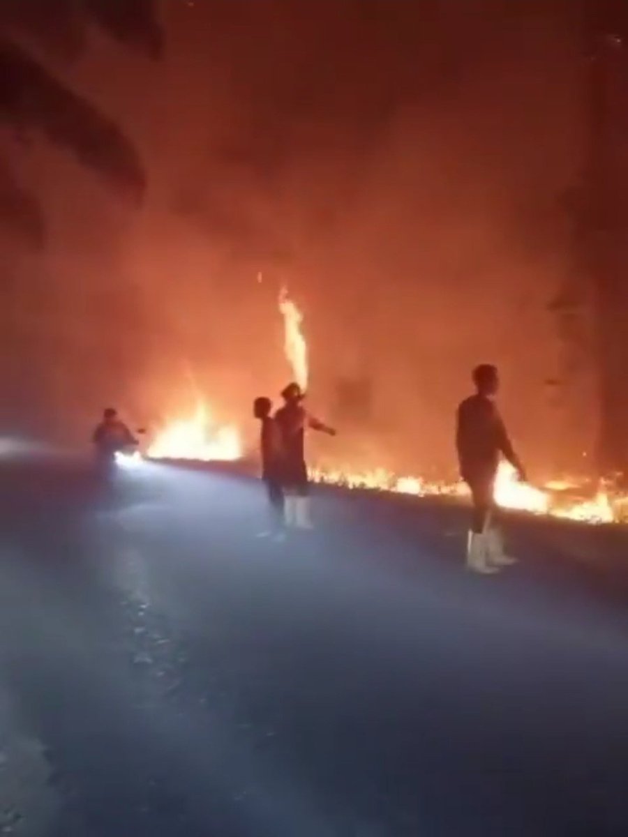TheStripesGirl's tweet photo. Massive forest fire burning in Central Kalimantan, Indonesia 🇮🇩 (20.08.2026)
#OpEarth https://t.co/6sC8zb0ZEv