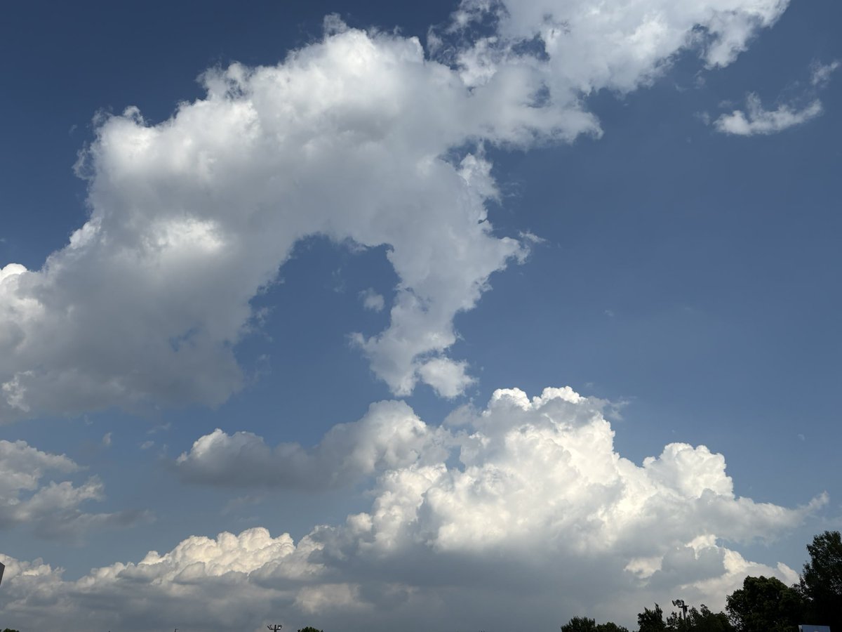 snowdrop_772017's tweet photo. 今日の夏空
とてもとても暑い１日でした…｡
小田さんからの嬉しいお知らせも届き､夏空がいっそう眩しく輝いて見えました…｡

#今日の空 #今日の空色 #夏空
#空の色 #そらのいろ
#見上げた空の色
#空を見上げて
#8月の空
#夏の空
#空がある風景 https://t.co/wy91ayA9dM