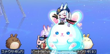 concreeeeeete's tweet photo. 今日はうさぎの日らしい！🐰
うさぎは正義！🐇

#バニーの日 https://t.co/4dW0ERXvdL