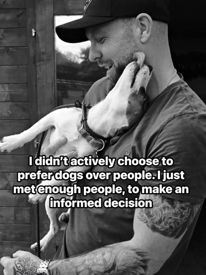 JimmyRichards72's tweet photo. #Dogs https://t.co/G5oFTpyANG