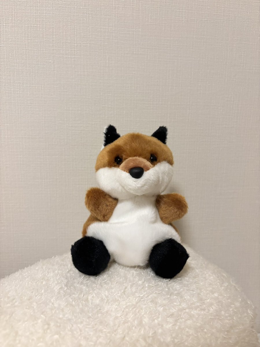 dw__1222's tweet photo. 届いてた🦊♡
ようこそ！

#seoinguk
 #seeyouatworktomorrow
#残念ながら明日も出勤です https://t.co/LubB7dPycR
