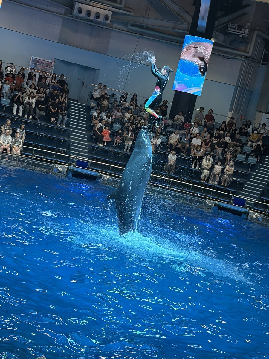 ASUTARUTARU's tweet photo. 今日は満足です
ホテル帰るです https://t.co/R7D50fp3tE