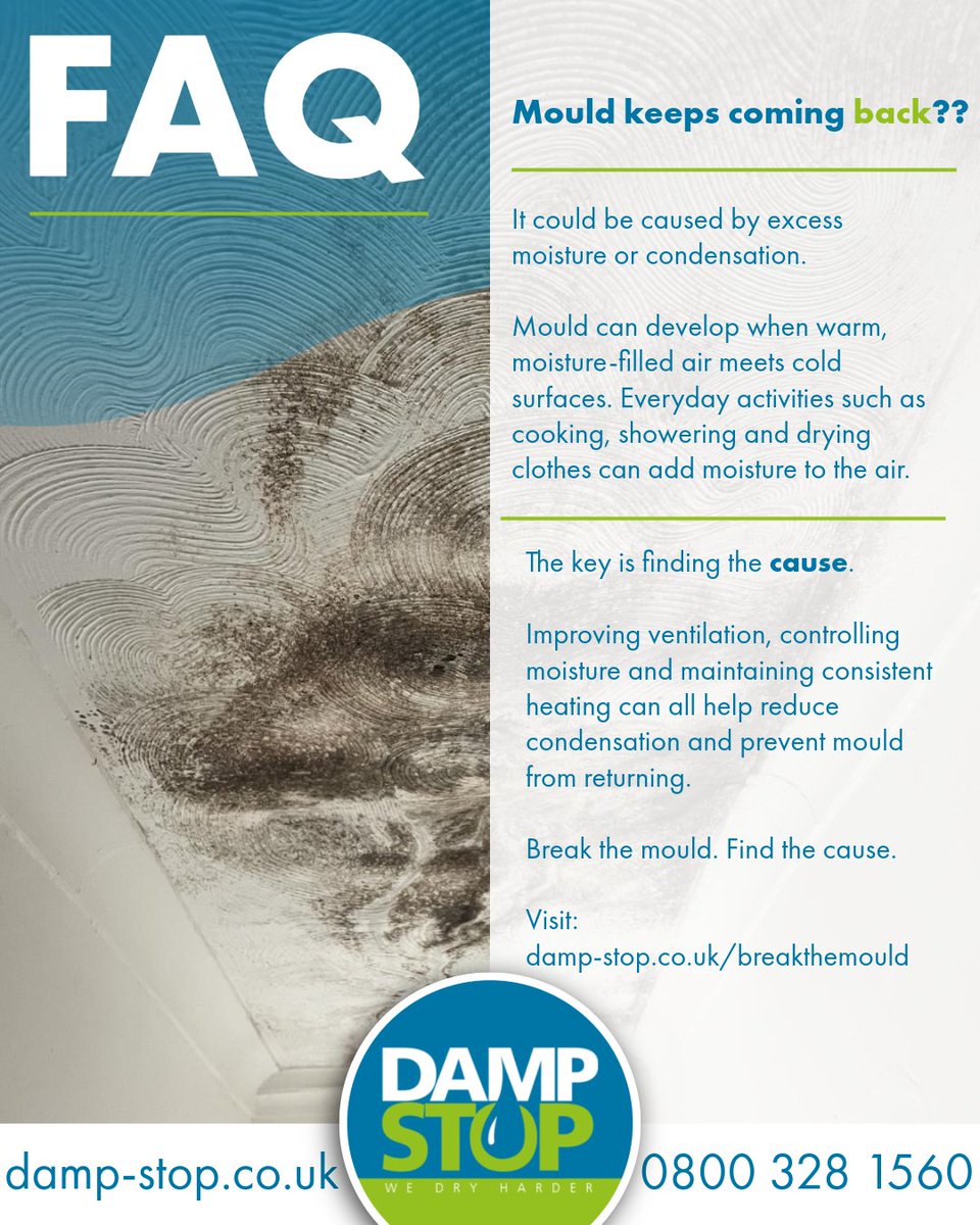 DampStop's tweet photo. Mould keeps coming back?

It may be a sign of an underlying moisture problem.

Condensation, leaks and penetrating damp can all contribute to mould growth. Identifying the cause is key to finding the right solution.

Break the mould: https://t.co/E6wXsyyfei https://t.co/Opt5tUw9h6
