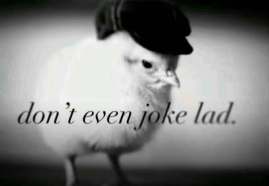 Comet5Sound's tweet photo. @walkemdownlils Why would you willingly post this on a public account bloke https://t.co/0Wg2DdOdae
