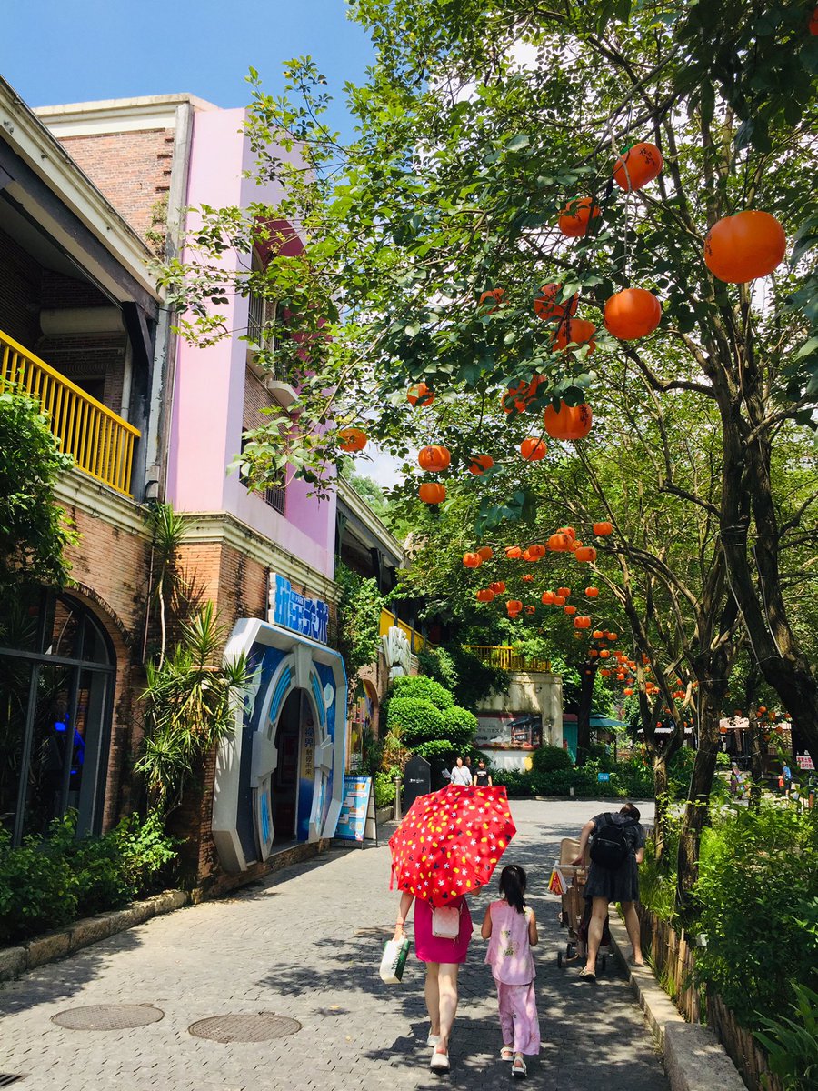 Jeeeeeaaann's tweet photo. Autumn breeze carries the scent of roasted chestnuts—perfect for a slow walk with a warm drink in hand. ， https://t.co/LaOdOPLHK9