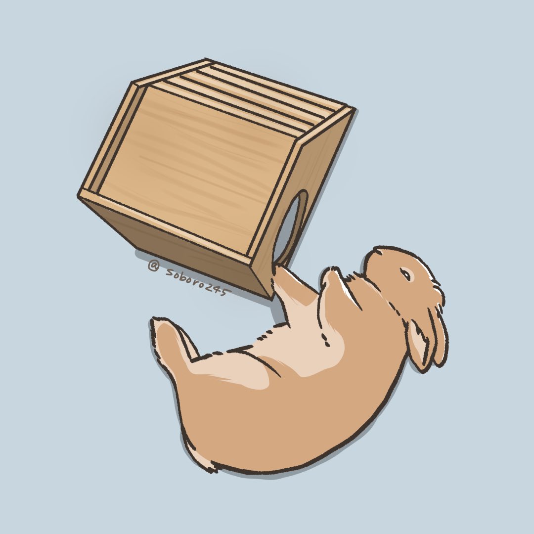 soboro245's tweet photo. たまに落ちてる無防備なうさぎ🐰

 #そぼろ https://t.co/tQ8v1S3g9z