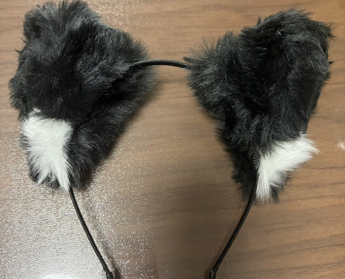 RiaruFirst's tweet photo. いい感じの猫耳手に入れた🐱 https://t.co/3zrX3OCwQp