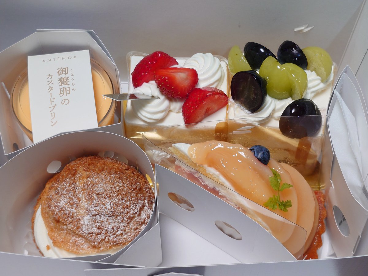 Youko_Nanami's tweet photo. 【定期】
長男がアンテノールのケーキ🎂買ってきてくれました!!!
いつもありがとうー!!!
#アンテノール
#ANTENOR https://t.co/44lA4QpqS3