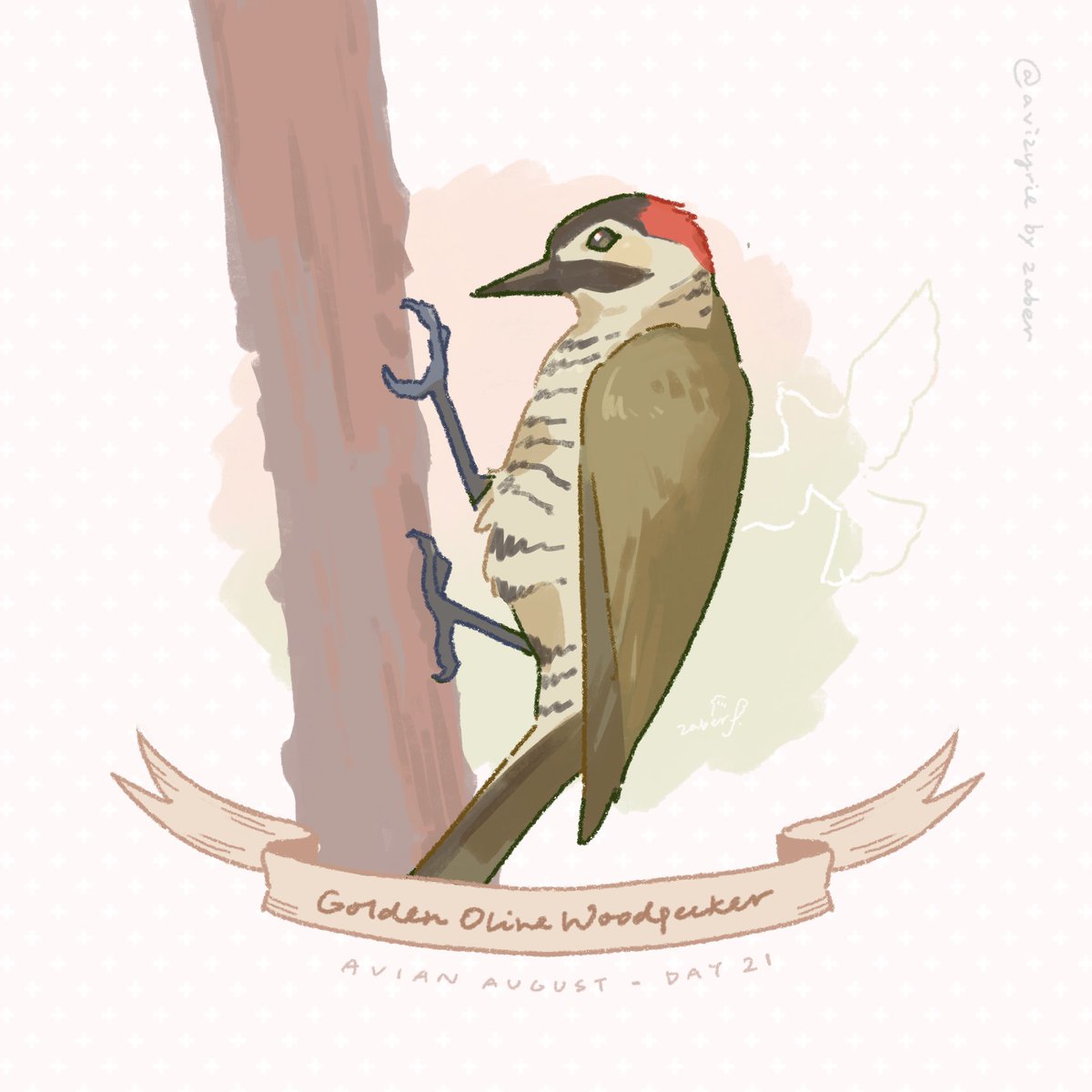 Avizyrie's tweet photo. Day 21 - Golden Plive Woodpecker
nature’s driller
#AvianAugust #AvianAugust2026 https://t.co/ALBiTgVUAZ