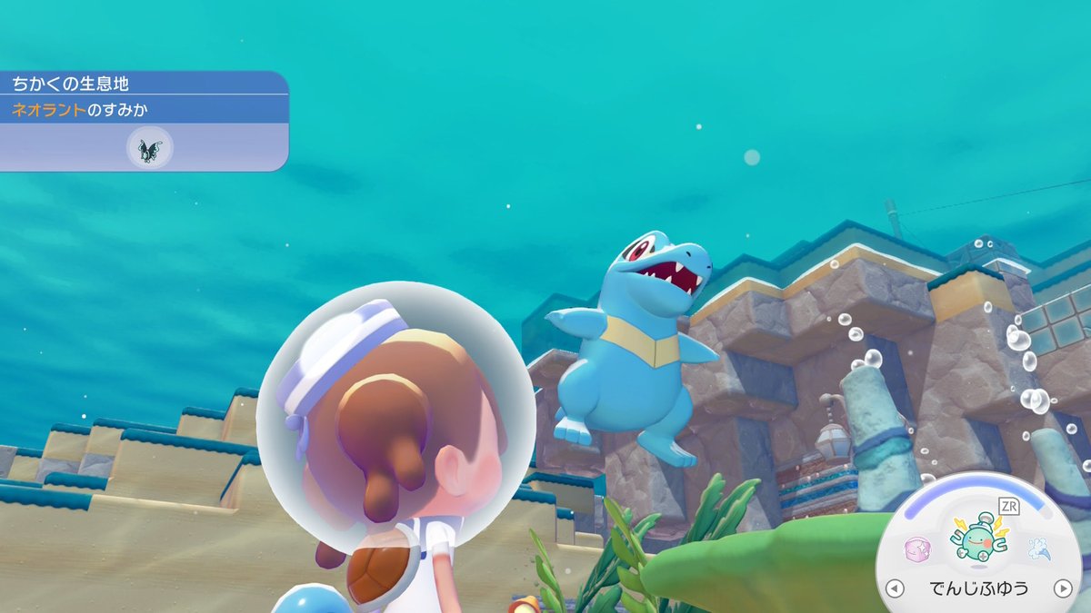 Cyanwa2's tweet photo. ぽこポケDLCのワニノコ愛おしすぎて涙出てきた https://t.co/pXYXc5UmvD