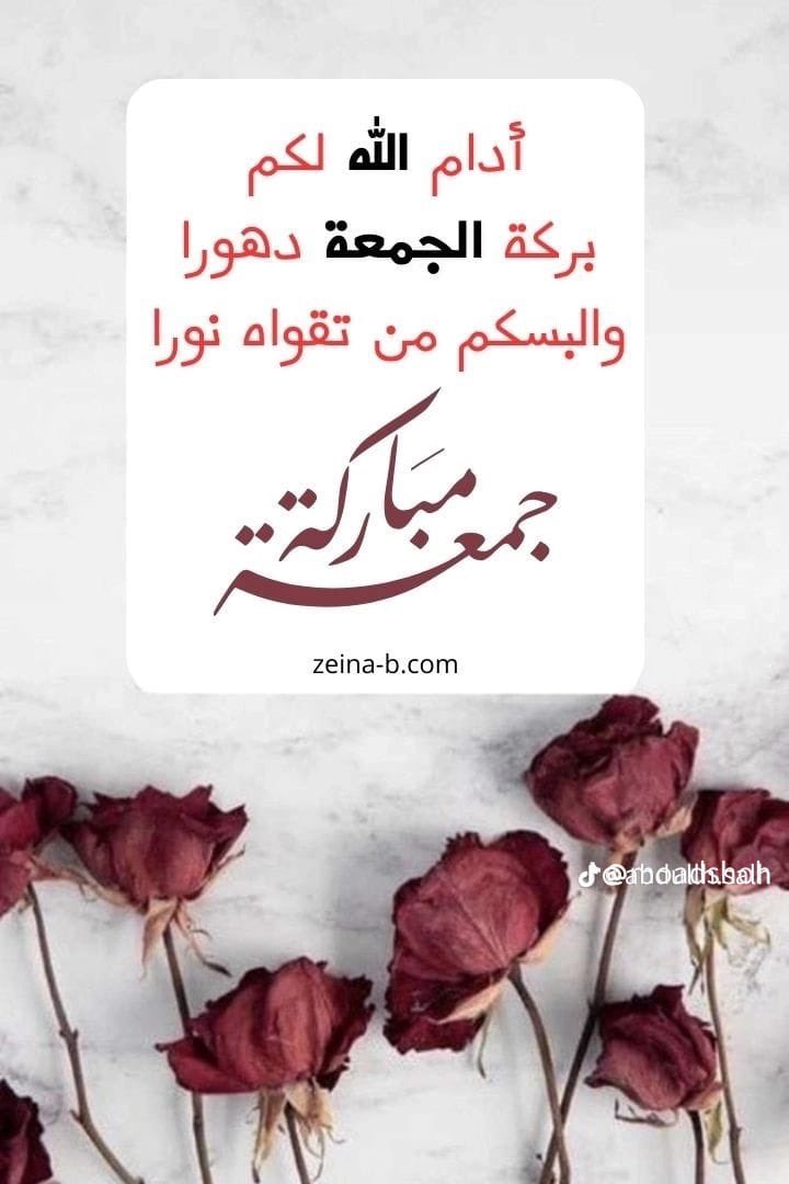 AnAlntah's tweet photo. @saanayg https://t.co/oLAWql6vJG
