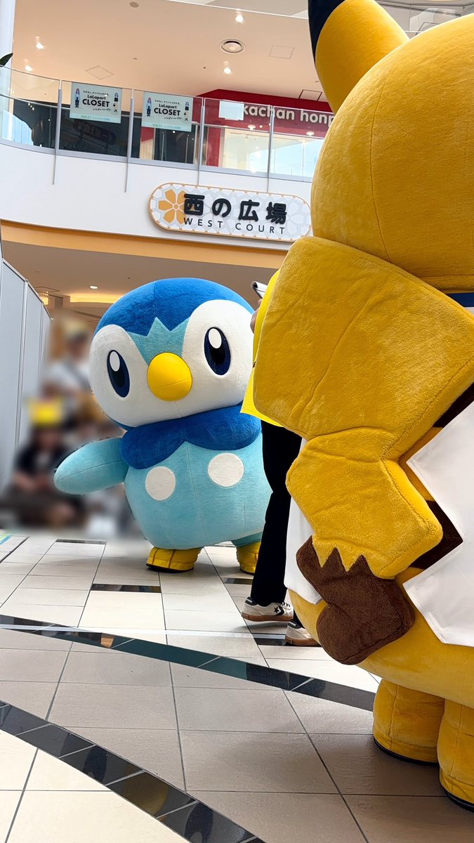ppg_sp49's tweet photo. こちら側のことも気遣ってくれてひょこっとお顔見せて手振ってくれた優しいポチャ😭 https://t.co/61dt4hrhHP