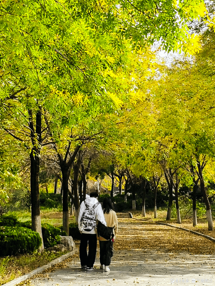 Zainab33550383's tweet photo. Warm sunshine + cool breeze = perfect autumn day to walk in the park ， https://t.co/ZQkIk8sWRa