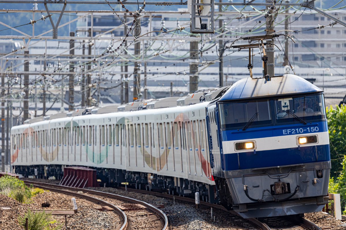 Jimmo75's tweet photo. 26.8.21
川崎出場甲種輸送
9866レ
EF210-150+西武48101F 8B

ひさびさに本気で追いかけたと思う。
場所はホンマに無かったんすわ。 https://t.co/vVyQFrPlDw