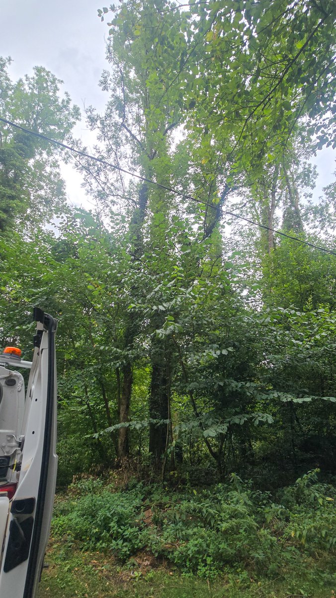 Aleph_Aphel's tweet photo. Échauffement dans les bois pour le jour 1. https://t.co/rnhXFLceqM