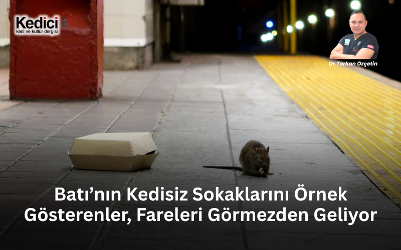 kedicidergisi's tweet photo. Trol ordusunun sürekli karşıma çıkarılan bir argümanı var:
“Avrupa’nın, Amerika’nın gelişmiş şehirlerinde sokaklarında bizim şehirlerimizdeki kadar kedi yok. Onlar aptal mı?”

Hayır, aptal değiller.

Ama gelişmiş olmak, yapılan her şeyin doğru olduğu anlamına da gelmiyor.

New York’un yaptığı her şey doğru olmak zorunda değil. Paris’in yaptığı her şey de bizim için örnek olmak zorunda değil. Bir şehrin ekonomik olarak güçlü, teknolojik olarak gelişmiş veya düzenli olması, onun doğayla ve şehir ekolojisiyle kurduğu ilişkinin tartışılmaz olduğu anlamına gelmez.

Zaten fare meselesi bunun çok güzel bir örneği.

Bize “Bakın, gelişmiş ülkelerin sokaklarında sizin şehirlerinizdeki kadar kedi yok” diyenlere ben de başka bir soru soruyorum:

Peki dünyanın en gelişmiş şehirlerinden bazıları neden yıllardır farelerle savaşıyor?

New York neden özel bir Kemirgenlerle Mücadele Direktörü atamak zorunda kaldı?

Paris neden her yıl binlerce kemirgen müdahalesi yapıyor?

Neden milyonlarca dolar harcanıyor?

Neden dünyanın en gelişmiş metropollerinde metro istasyonlarında, parklarda, sokaklarda ve çöp alanlarında çekilmiş binlerce sıçan görüntüsü hala karşımıza çıkıyor?

Demek ki “Onlar gelişmiş, öyleyse yaptıkları doğrudur” diye bir bilimsel kural yok.

Dahası, İstanbul Paris değildir. Ankara New York değildir.
Her şehrin tarihi, kültürü, iklimi, mimarisi, ekolojik dengesi ve belki en önemlisi insanı farklıdır. Bizim şehirlerimizde kediler dün ortaya çıkmadı. Yüzyıllardır insanlarla aynı mahalleyi, aynı sokağı, aynı avluyu paylaşan bu hayvanlar şehir yaşamımızın ve kültürümüzün bir parçası haline geldi.

Bunun adı yalnızca hayvan sevgisi değildir.

Bunun adı birlikte yaşama kültürüdür.

Bizim kültürümüzde kediler, insanların dışarı attığı ve şehirlerden uzaklaştırmaya çalıştığı bir canlı hiçbir zaman olmadı. Caminin avlusunda da vardı, esnafın kapısında da. Mahalle arasında da vardı, evimizin bahçesinde de. İnsanlarla aralarında yazılı olmayan ama yüzyıllardır yaşayan bir ilişki kuruldu.

Bir kap su konuldu.
Bir kap yemek bırakıldı.
Hastalandığında tedavi ettirildi.
Bir dükkanın önünde, mağazanın vitrininde uyumasına izin verildi.

Çünkü bu toprakların kültürü, hayvanları hayatın tamamen dışına çıkarmak üzerine değil, onlarla birlikte yaşayabilmek üzerine gelişti.

Şimdi başka ülkelerin şehir modellerini gösterip:

“Onların sokaklarında kedi yok, sizde de olmasın.” demek kolay.

Ama o modeli ithal ederken yalnızca boş, soğuk sokakların fotoğraflarını değil, o modelin bedelini de konuşmak zorundayız.

Kedinin yerine profesyonel kemirgen kontrolü koyacaksanız bütçesini de konuşacağız.

Zehri konuşacağız.
Kapanı konuşacağız.
Binlerce belediye müdahalesini konuşacağız.

Ve bütün bunlara rağmen bitmeyen fare problemini de konuşacağız.

Ben Batı’dan bilim öğrenmeye karşı değilim. Tam tersine, bu konuda kullandığım bilimsel çalışmaların önemli bir bölümü zaten Batı’daki üniversitelerden ve araştırmacılardan geliyor.

Ama bilimi örnek almak başka, Batı’nın yaptığı her şeyi sorgulamadan doğru kabul etmek başka.

Bilimi alalım.
Teknolojiyi alalım.
İyi şehircilik uygulamalarını alalım.

Ama kendi şehirlerimizin yüzyıllardır yaşayan ekolojik ve kültürel dokusunu, sırf başka ülkelerin sokakları farklı görünüyor diye kendi ellerimizle yok etmeyelim.
Çünkü medeniyet, sokakta kedi olmaması değildir.

Medeniyet, bazen insanların birlikte yaşadığı canlılarla nasıl bir ilişki kurduğudur.

Dün kedilerin şehirlerdeki varlığının fare ve sıçanlar üzerindeki etkisini bilimsel çalışmalar üzerinden anlattım. Kedinin yalnızca avladığı kemirgenler üzerinden değerlendirilmesinin yanlış olduğunu; varlığının, dolaştığı alanın ve hatta kokusunun bile sıçanların davranışlarını değiştirebildiğini bilimsel araştırmalarla ortaya koydum.

Bugün meseleye başka bir yerden bakalım.

Çünkü son günlerde kedileri şehirlerden uzaklaştırmak isteyenlerin bir başka argümanı daha var:

“Fare sorununun kedilerle ilgisi yok. Çöpünüzü düzgün toplarsanız fare de olmaz.”

Öyle mi?

O zaman dünyanın en zengin, en organize ve teknoloji açısından en gelişmiş şehirlerinden ikisine bakalım.

Önce New York.

New York yıllardır farelerle savaşıyor. Üstelik öyle birkaç belediye görevlisiyle değil. En modern kapalı çöp konteynerleri kullanılıyor, özel mücadele bölgeleri oluşturuluyor, profesyonel ekipler çalıştırılıyor, ilaçlama yapılıyor, kapanlar kuruluyor, kanalizasyon sistemleri denetleniyor ve teknolojik takip sistemleri kullanılıyor.

Yetmemiş.

Şehir 2023 yılında yalnızca sıçanlarla mücadeleyi koordine etmek üzere özel bir “Kemirgenlerle Mücadele Direktörü” atadı.

Düşünün; dünyanın en güçlü şehirlerinden biri, belediye yönetiminde neredeyse yalnızca farelerle savaşmakla görevli özel bir makam oluşturmak zorunda kalıyor.
2025 yılında beş ilçede yeni mücadele ekipleri kuruluyor ve yalnız bu çalışma için 877 bin dolarlık kalıcı ek kaynak ayrılıyor.

Yaklaşık 600 bin ağacın çevresindeki sıçan aktivitesiyle mücadele edilmesi planlanıyor. New York Sağlık Departmanı ise yılda yaklaşık 40 bin sıçan şikayeti aldığını bildiriyor.

Üstelik bu sorun yalnızca belediyelerin istatistik tablolarında yaşamıyor. New York’a gidenlerin çektiği fare görüntüleri yıllardır sosyal medyanın adeta ayrı bir kategorisi haline gelmiş durumda. Metro istasyonlarında, raylarda, kaldırımlarda, çöp konteynerlerinin çevresinde gece ortaya çıkan sıçanların sayısız görüntüsünü bulabilirsiniz. Bir dönem bütün dünyanın izlediği meşhur “Pizza Rat” videosundan bugüne New York fareleri artık şehrin istenmeyen sembollerinden biri haline geldi. Bugün bile sosyal medya platformlarında New York sokaklarında karşılaşılan sıçanlara ilişkin binlerce görüntü dolaşıyor.

Dolayısıyla burada teorik bir kemirgen probleminden söz etmiyoruz. İnsanların günlük yaşamda karşılaştığı, görüntülediği, belediyeye şikayet ettiği ve sosyal medyada sürekli paylaştığı bir şehir gerçeğinden söz ediyoruz.

Şimdi soruyorum:

New York çöp toplamayı mı bilmiyor? Dünyanın en zengin şehirlerinden birinde çöp kamyonu mu yok? Kanalizasyon mu yapılmamış? Profesyonel mücadele ekibi mi bulunamıyor? Para mı yok? Teknoloji mi yok?

Hepsi var.

Ama fareler de var.

Hem de şehrin özel bir makam, özel ekipler ve sürekli bütçe ayırmasını gerektirecek kadar.

Hadi şimdi Paris’e gidelim.

Dünyanın en çok ziyaret edilen, en gelişmiş ve en düzenli şehirlerinden biri. Paris Belediyesi 2017’den beri geniş kapsamlı kemirgen mücadelesi yürütüyor. Kapalı modern çöp sistemleri var, mekanik kapanlar var, fare zehirleri var, kanalizasyon çalışmaları var, profesyonel ekipler var.

Belediyenin kendi verilerine göre kamusal alanlarda kemirgenlerle mücadele amacıyla her yıl 7 binden fazla müdahale gerçekleştiriliyor.

Yazı ile yedi bin.

Bir şehirde yılda yedi binden fazla kemirgen müdahalesi yapılıyorsa, ortada küçümsenecek bir mesele olmadığını kabul etmek gerekir.

Üstelik mesele geçmişte kalmış da değil. Paris’te 2024’te karar alınmış, 2025’te tekrar alınmış, 2026’da yine şehir çapında sıçan istilasının önlenmesi ve fare-sıçan popülasyonuyla mücadele etmek amacıyla resmi karar çıkarılmış. Paris 5. Bölge Belediyesi de sıçan meselesini açıkça “sağlık ve ekolojik bir sorun” olarak tanımlayarak yeni mücadele programı başlatmış.

Gördüğünüz gibi Paris’te de tablo New York’tan farklı değil. Özellikle akşam saatlerinde sokaklarda, parklarda, metro çevrelerinde ve çöp alanlarında görülen sıçanların görüntüleri yıllardır sosyal medyada dolaşıyor. Üstelik bunu artık yalnız turist videolarından öğrenmiyoruz. 2026 yılında yayımlanan saha haberlerinde bile Paris’in merkezindeki bazı bölgelerde sıçanların insanların yaşadığı alanlarda dolaştığı ve saklandığı doğrudan anlatılıyor.

Yani mesele sosyal medyanın abartısı da değil.

Dünyanın en gelişmiş iki metropolünden söz ediyoruz. Teknolojileri var. Paraları var. Profesyonel ekipleri var. İlaçları var. Kapanları var. Kanalizasyon denetimleri var. Özel mücadele programları var.

Ve bütün bunlara rağmen insanların cep telefonlarına takılan görüntü aynı:

Fareler...

Şimdi bize “Kedileri toplarız, çöpleri de düzgün toplarız, mesele biter” diyenlere tekrar soruyorum:

New York neden bitiremedi? Paris neden bitiremedi?
Bu şehirlerin yöneticileri kemirgen mücadelesini bilmiyor olabilir mi?

Yoksa şehir ekolojisi sosyal medyada birkaç cümleyle anlatıldığı kadar basit değil mi?

New York mücadele ediyor.
Paris mücadele ediyor.

Bizden çok daha büyük bütçelerle, ileri teknolojiyle, profesyonel ekiplerle ve yıllardır mücadele ediyorlar.

Ve hala farelerle savaşıyorlar.

Şimdi dönelim bizim sokaklarımıza.

Bizim şehirlerimizin çok önemli bir farkı var:

Kediler...

Yüzyıllardır insanlarla aynı sokakta yaşayan, sokağı dolaşan, kokusunu bırakan, avlanan; bir duvarın üzerinde otururken, apartman boşluğunda uyurken veya bir çöp konteynerinin yanında dolaşırken bile kemirgene “Burada bir avcı var” mesajını veren kediler.

Dün bilimsel çalışmalarla anlattım: Sıçanın kedinin saldırmasını beklemesi gerekmiyor. Kedinin varlığını algılaması bile davranışını değiştiriyor. Daha fazla saklanıyor, açık alana çıkma davranışı değişiyor; hatta kedi ortada yokken bile kedi kokusu sıçanda güçlü kaçınma ve savunma davranışları oluşturabiliyor.

Bunu ben söylemiyorum.
Bilim söylüyor.

Şimdi birileri çıkıp bize:

“Kedileri sokaklardan toplayalım. Fareyle mücadeleyi belediyeler yapar.” diyor.

İyi ama bunu
New York yapıyor.
Paris yapıyor.

Üstelik bizden çok daha büyük bütçelerle, çok daha gelişmiş teknolojiyle ve yıllardır yapıyorlar.

Ve hala farelerle savaşıyorlar.

O zaman ben de soruyorum:

Biz neden yüzyıllardır şehirlerimizin doğal yaşamının bir parçası olmuş kedileri kendi ellerimizle sokaklardan çıkarmaya çalışıyoruz?

Aptal mıyız?

Neden doğanın bize zaten verdiği bir predatörleri yani doğal fare avcılarını şehirden uzaklaştırıp, sonra onun bıraktığı boşluğu zehirlerle, kapanlarla, ilaçlarla ve milyonlarca liralık mücadele programlarıyla doldurmaya hazırlanıyoruz?

Bir de sürekli aynı cümleyi duyuyorum:
“Ama kediler mama yiyor.”

Evet, yiyecekler.
Biz onları besleyeceğiz. Aç bırakmayacağız.

Fakat tok bir kedinin kedi olmaktan çıktığını, avlanma içgüdüsünü kaybettiğini veya varlığının kemirgenler üzerindeki etkisinin ortadan kalktığını kimse bize bilimsel gerçekmiş gibi anlatmasın.

Çünkü değil.

Ben kedilerin tarafındayım. Bunu saklamıyorum.
Ama kedileri savunurken dayandığım şey yalnızca sevgim değil; bilim, tarih ve birlikte yaşama kültürümüz.
Kediler bizim şehirlerimize sonradan eklenmiş yabancı unsurlar değil. Bu şehirlerin yaşayan hafızasının parçası.

Onları korumak yalnızca birkaç hayvanseverin duygusal talebi de değildir. Yüzyıllardır birlikte yaşamayı başardığımız bir canlıyla kurduğumuz ilişkinin devamını savunmaktır.

Bilim bize şehir ekolojisinin içinden bir canlı türünü çekip çıkarabileceğiniz ve hiçbir şey değişmeyecekmiş gibi davranabileceğiniz kadar basit olmadığını söylüyor.

Tarihimiz ise bize başka bir şey söylüyor:

Biz kedilerle birlikte yaşamayı biliyoruz. Onlar zaten hayatımızın bir parçası

Öyleyse neden bize başkasının şehir modelini kopyalamaktan başka seçenek yokmuş gibi davranılıyor?

Bugün kedileri şehirlerden uzaklaştırmayı isteyenlere bir soru soruyorum:

Son kediyi de sokaktan aldığınız gün, onun boşalttığı yeri kimin dolduracağını gerçekten düşündünüz mü?

New York’un bütçesi var.
Paris’in teknolojisi var.

Binlerce profesyonel müdahale yapabilecek ekipleri var.

Peki sizin planınız ne?
Amacınız ne?

Ve son soru...

Kime hizmet ediyorsunuz?

Dr. Tarkan Özçetin
Veteriner Hekim

Kaynaklar
New York City Mayor’s Office. Mayor Adams Launches New Teams to Fight Rats in City’s New Phase in War on Rats. 2025.
New York City Department of Health and Mental Hygiene. Rat Information Portal / Rat Complaints.
Ville de Paris. Arrêté relatif aux opérations de prévention de l’infestation et de dératisation à Paris. 2026.
Mairie du 5e Paris. Contre les rats, la Mairie du 5e passe à l’offensive. 2025.

https://t.co/4LXH13cEFo