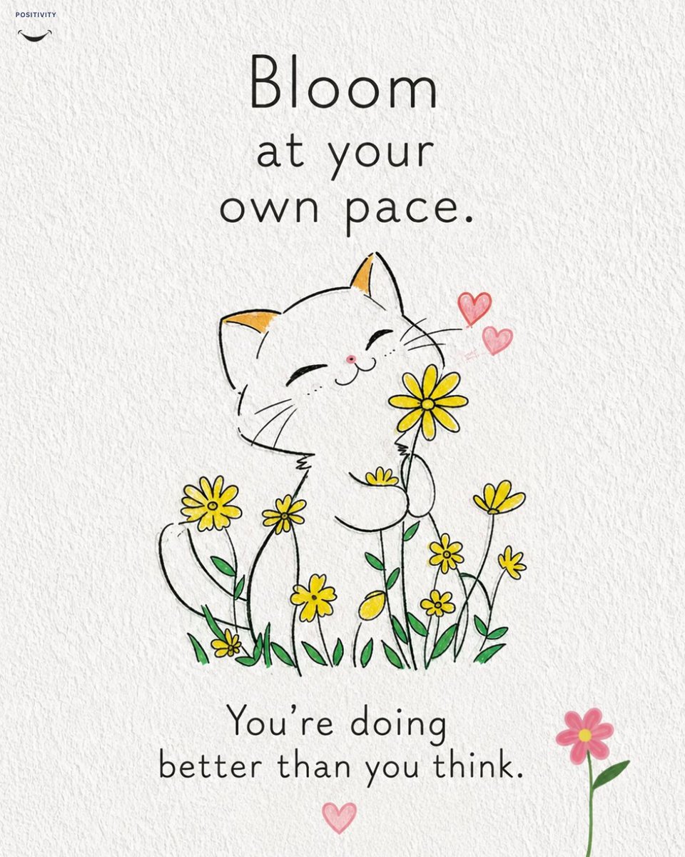 PositivitySaid's tweet photo. https://t.co/fsLimP2x1p