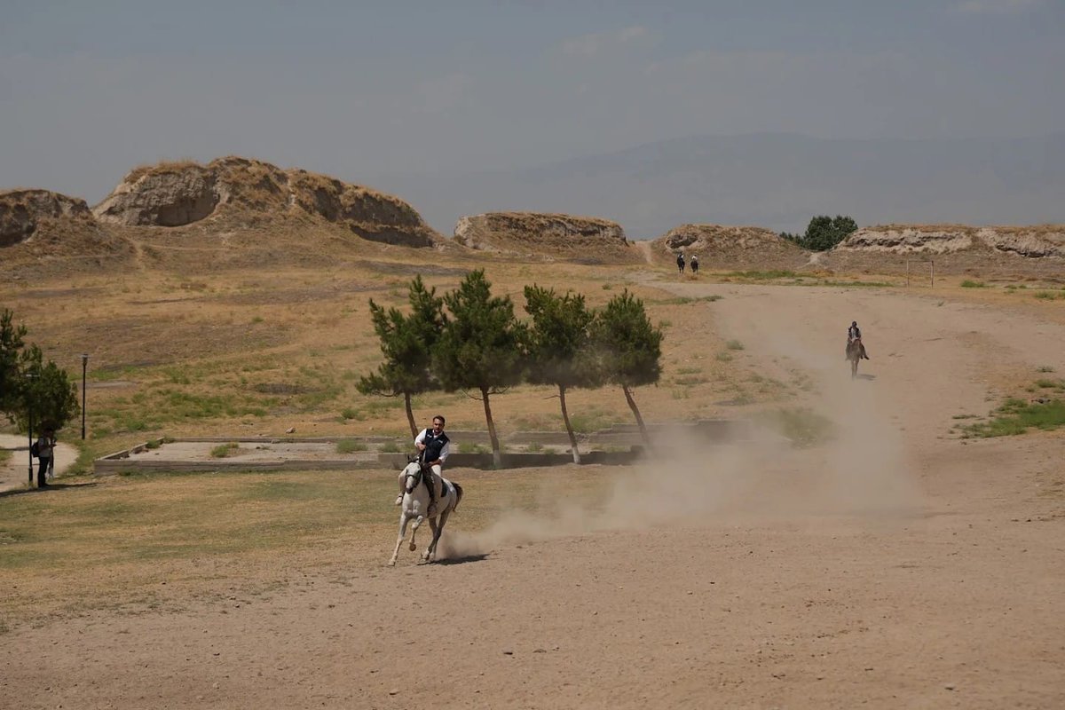 Tika_Tajikistan's tweet photo. Сафирони рушд дар шаҳри Ҳисор пайроҳаҳои таърихро варақ заданд. 🧭

Онҳо аз ёдгориҳои таърихию фарҳангии шаҳр боздид намуда, бо гузаштаи бойи 🇹🇯 аз наздик шинос шуданд, ҳамчунин бо аспдавонӣ фарҳанги суннатии ин диёрро эҳсос карданд. 🐎 https://t.co/K0zR3t2Z35