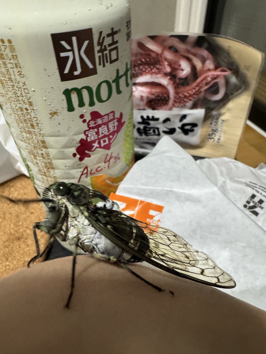 gffdhhbfddf's tweet photo. まあお前も飲めって https://t.co/KaLozMYRNF