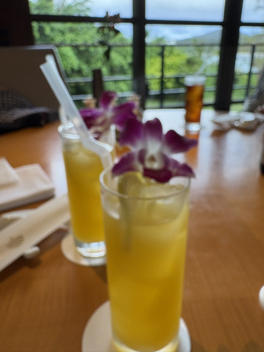 Logi_Logarhythm's tweet photo. ぼっけぼけ https://t.co/tHxZOqdadQ