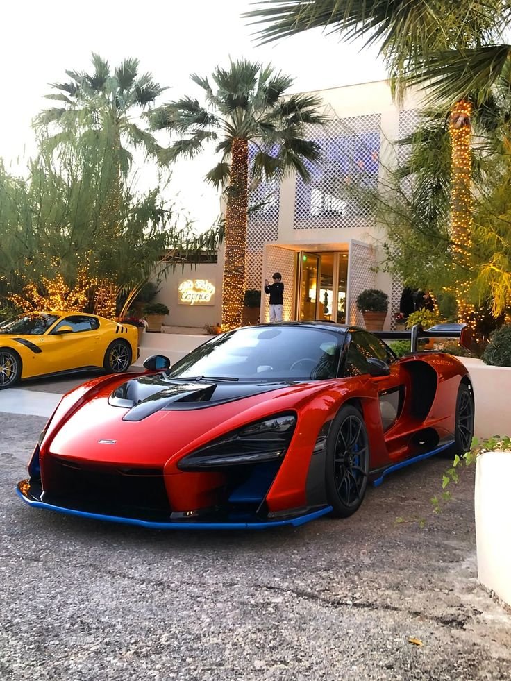200redbig's tweet photo. Surrounded by palm trees and luxury, looking like a true predator ready to hunt. 🏎️ https://t.co/YDtCmcm3P5