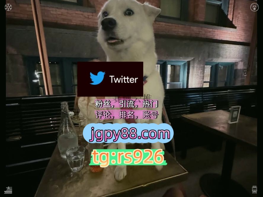 Hzmvq's tweet photo. Console someone who has lost hope.
推特软件推广外🤧facebook海外获客🪐主人的任务🌱
上热门推特账号自动脚本大同
推特脚本排名号围937927评论截流🎉股票代码🌟辅助工具🔥品牌增长👍
多账号管理、批量发帖、内容同步温州代发绍兴   🥩客.服看→资.料
霸屏🪐群发私信💐海外获客🍀instagram🐰 https://t.co/ZbZ8xPmeVs