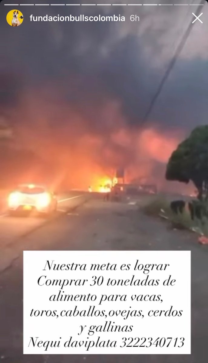 misia_carolaina's tweet photo. Buenos dias, hermosas criaturas
Como saben, el fuego no les está dando respiro en Tolima y alla dependen de sus campos devastados y animales que van a morir de hambre
Estas personas están uniendo esfuerzos para seguir llegando a veredas apartadas
🐎🦄✨ https://t.co/69CmZsXyaE