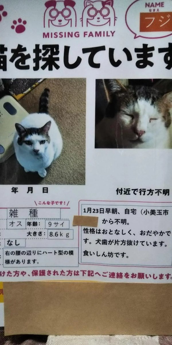 animal_rescue02's tweet photo. 【拡散希望】フジちゃん、名前を呼んであげてください…

2021年1月23日、茨城県小美玉市の自宅から車で連れ去られ、行方不明になっています。
猫のフジちゃんです。

情報があればDM・リプライでお願いします🙏
@tomato_star__

#迷子猫 #小美玉市 #茨城迷子 #拡散希望 https://t.co/Guophq6gAp